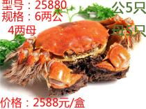 蘇州食品飲料產(chǎn)業(yè)全解析 價格、圖片、批發(fā)、廠家與餐飲管理